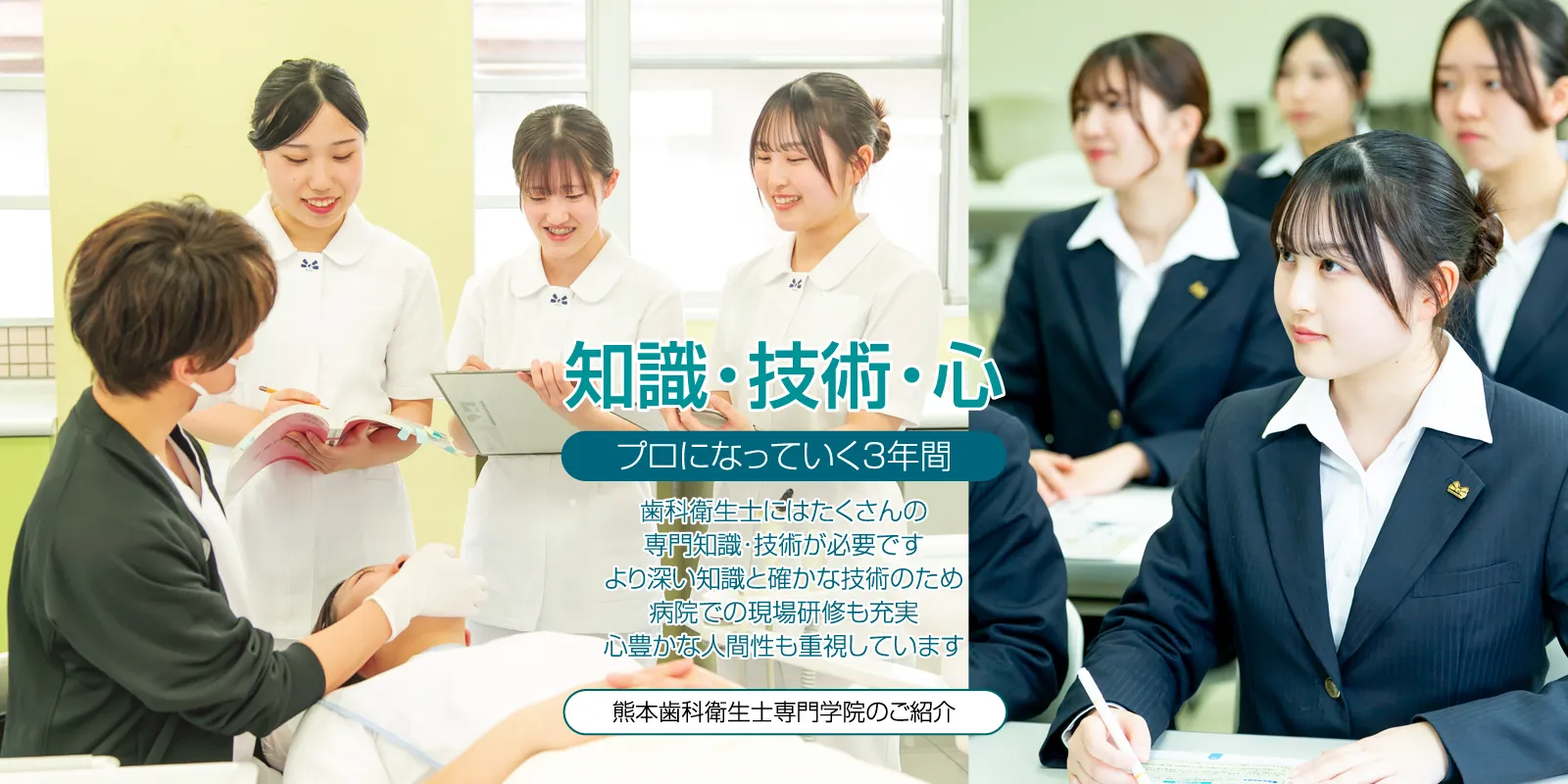 講義・実習内容